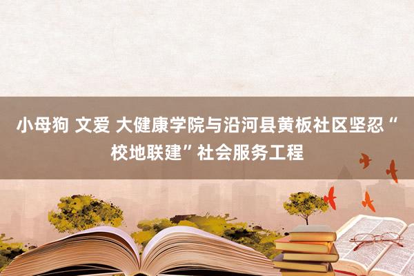 小母狗 文爱 大健康学院与沿河县黄板社区坚忍“校地联建”社会服务工程