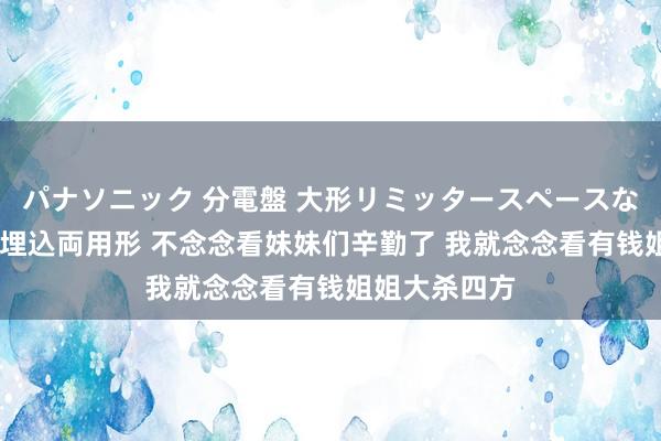 パナソニック 分電盤 大形リミッタースペースなし 露出・半埋込両用形 不念念看妹妹们辛勤了 我就念念看有钱姐姐大杀四方