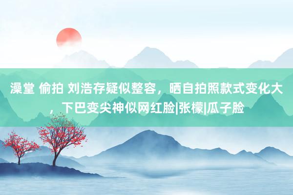 澡堂 偷拍 刘浩存疑似整容，晒自拍照款式变化大，下巴变尖神似网红脸|张檬|瓜子脸