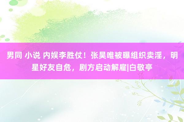 男同 小说 内娱李胜仗！张昊唯被曝组织卖淫，明星好友自危，剧方启动解雇|白敬亭