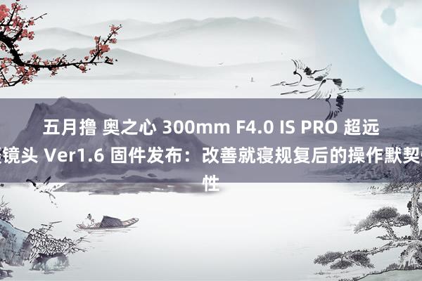 五月撸 奥之心 300mm F4.0 IS PRO 超远摄镜头 Ver1.6 固件发布：改善就寝规复后的操作默契性