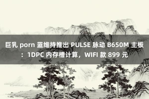 巨乳 porn 蓝维持推出 PULSE 脉动 B650M 主板：1DPC 内存槽计算，WIFI 款 899 元