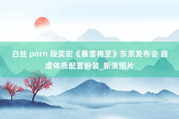 白丝 porn 段奕宏《暴雪将至》东京发布会 自虐体质配置扮装_新浪图片