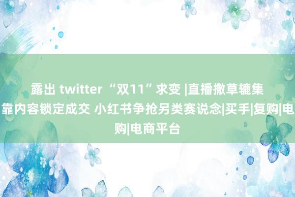 露出 twitter “双11”求变 |直播撒草辘集流量、靠内容锁定成交 小红书争抢另类赛说念|买手|复购|电商平台